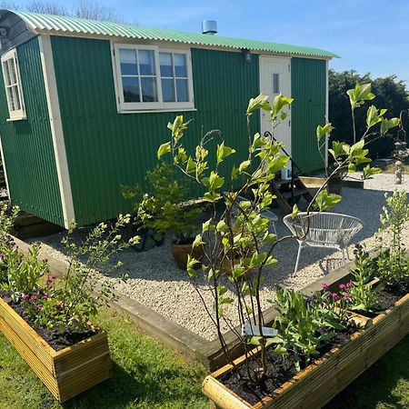 Toms Hut And Robins Rest Shepherd Huts Near 韦德布里奇 外观 照片