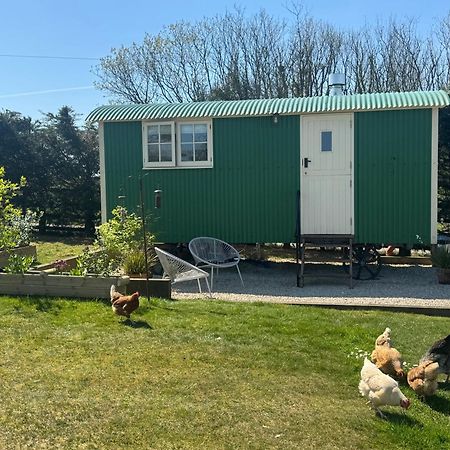 Toms Hut And Robins Rest Shepherd Huts Near 韦德布里奇 外观 照片