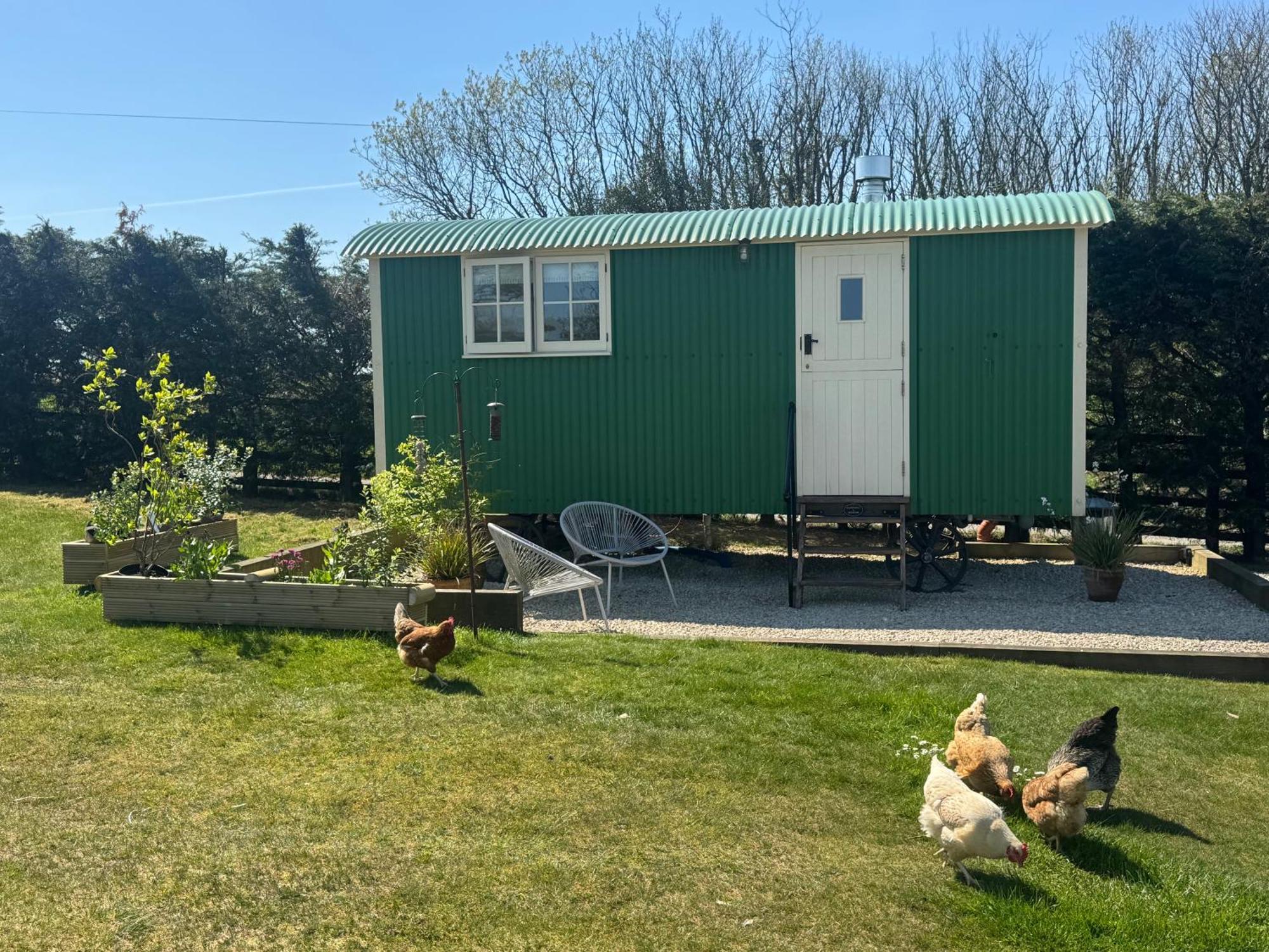 Toms Hut And Robins Rest Shepherd Huts Near 韦德布里奇 外观 照片